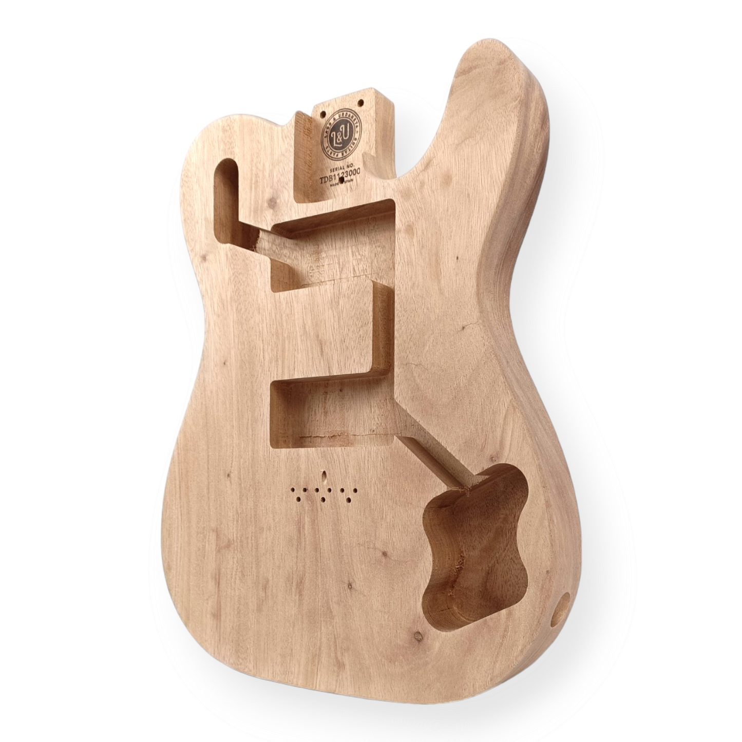 T-PA02 (T-style 70's Deluxe / Vintera inspired HH/P90's) guitar solid body