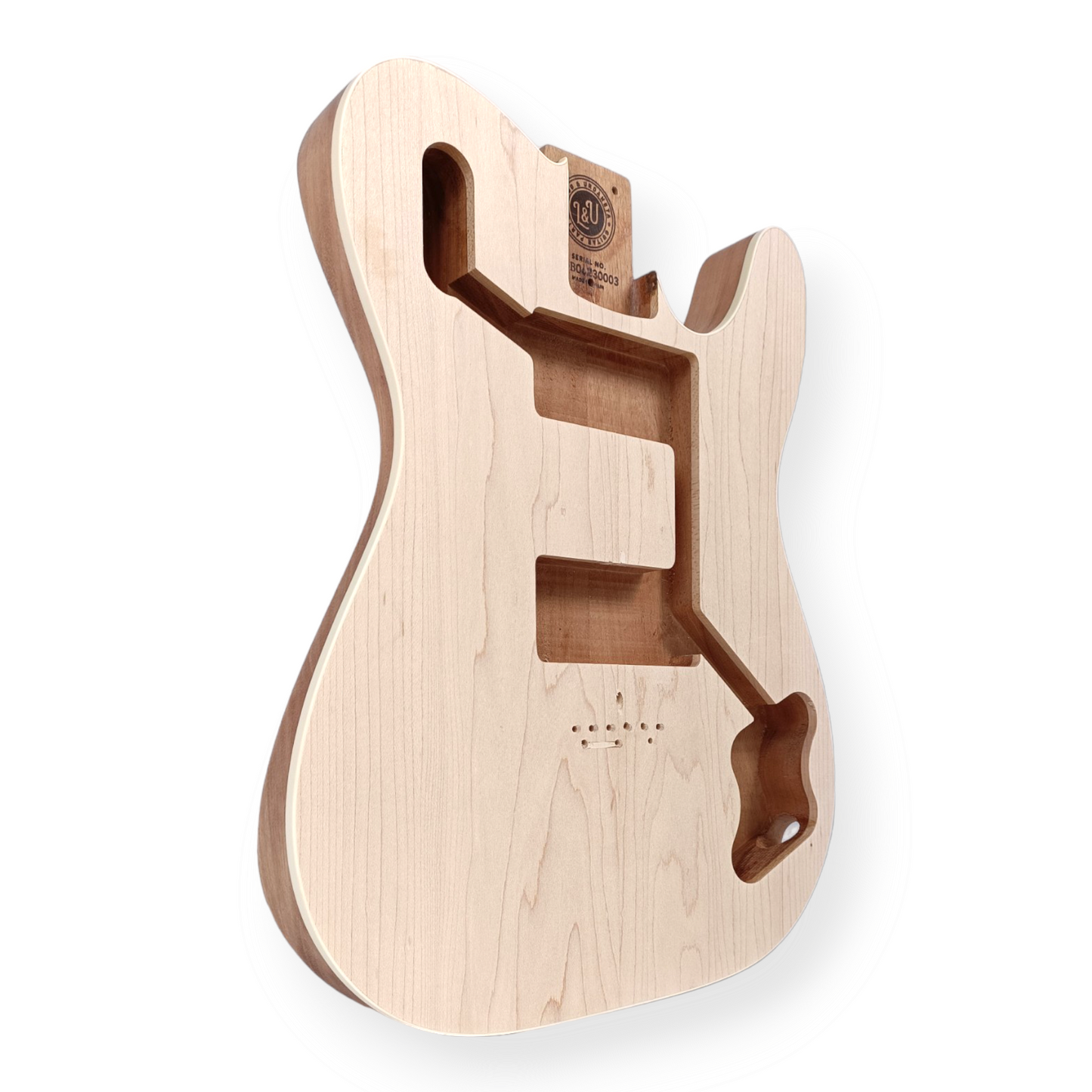 T-PA05 (T-style 70's Deluxe / Vintera inspired HH/P90's) guitar solid body with maple top